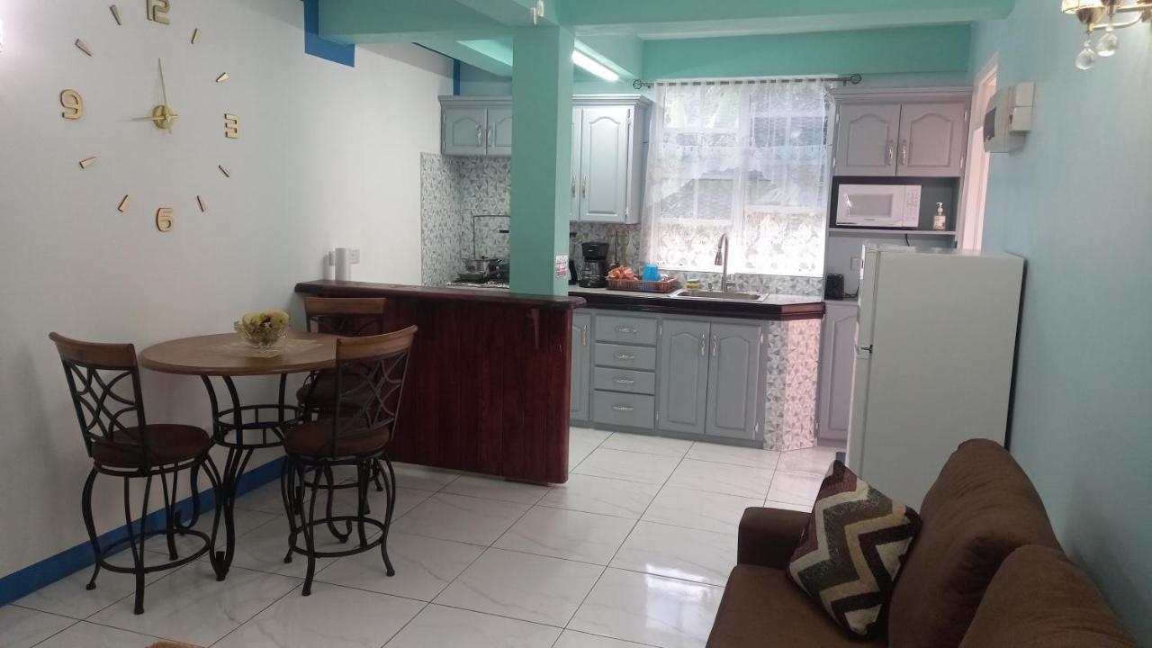 Apartamento Cozy Vacation Retreat With Free Parking Roseau Exterior foto